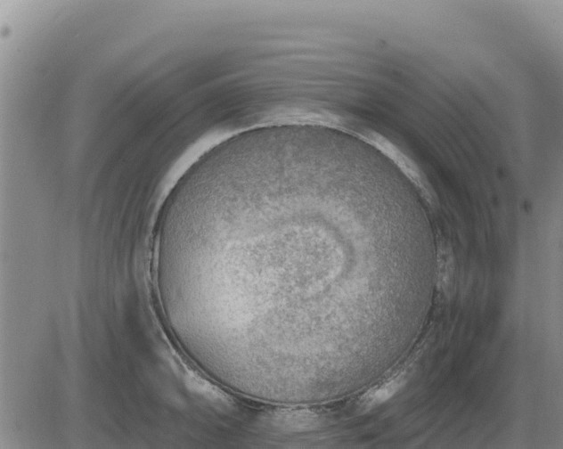 X0000084601094200703021619