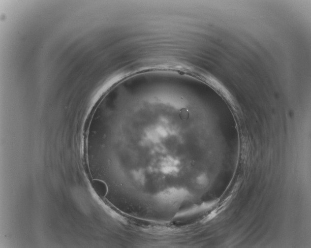 X0000084601095200703021619