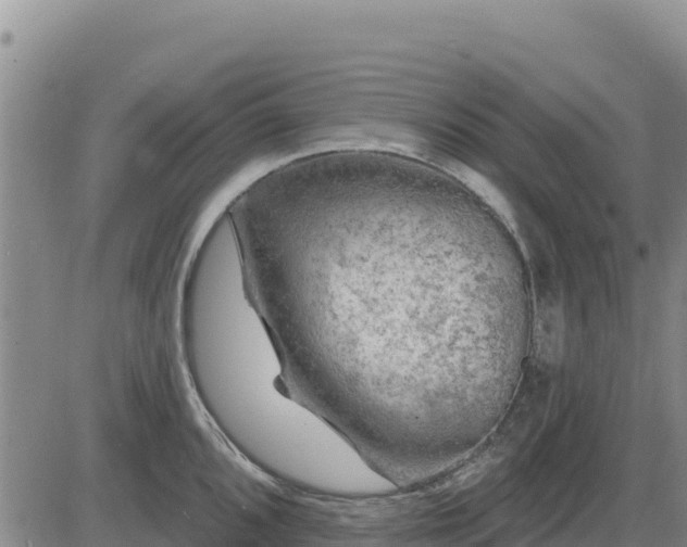 X0000084601096200703021619