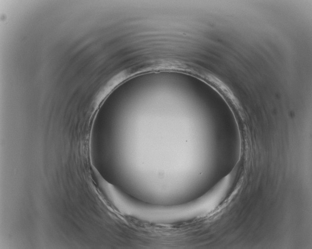 X0000084601097200703021619