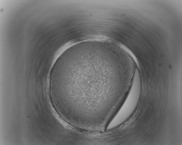 X0000084601099200703021619