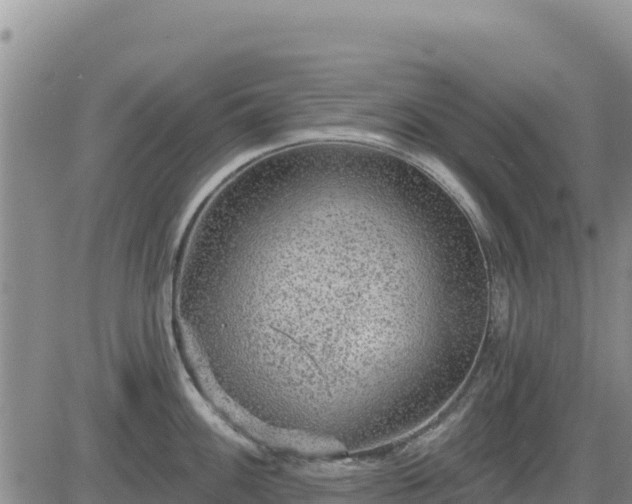 X0000084601100200703021619