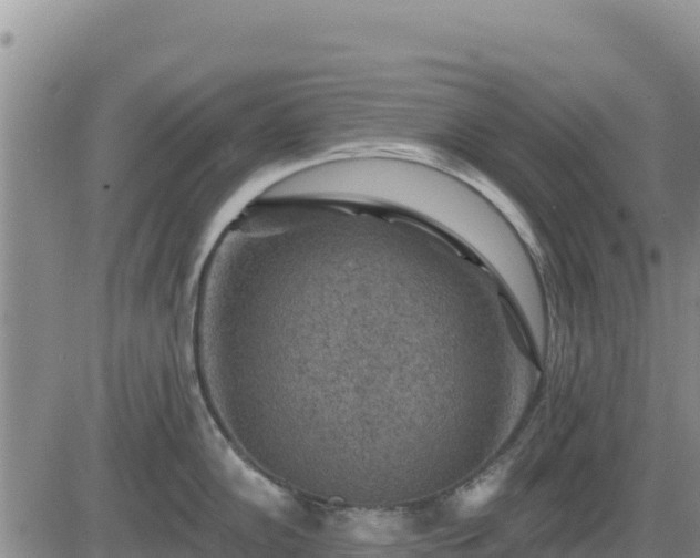 X0000084601102200703021619