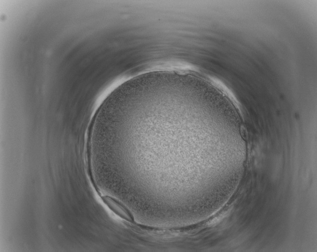 X0000084601103200703021619