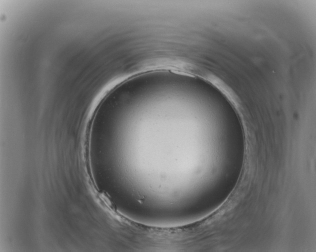 X0000084601104200703021618