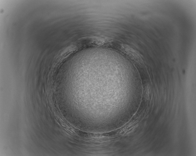 X0000084601105200703021618