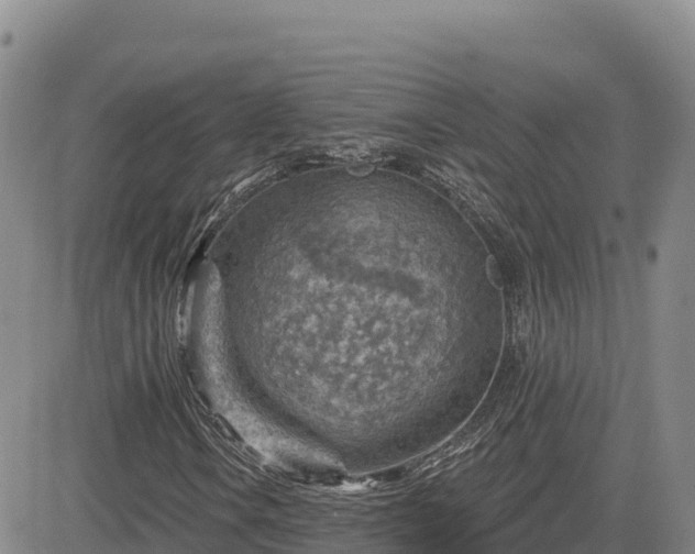 X0000084601106200703021618