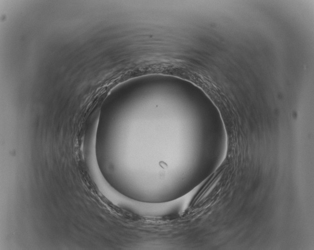 X0000084601109200703021618