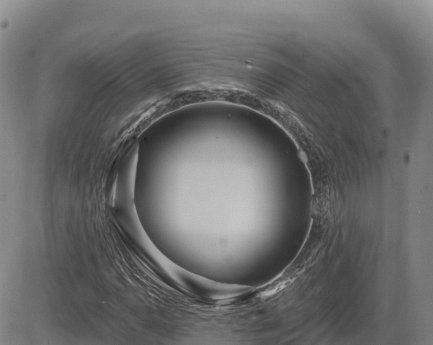 X0000084601110200703021618