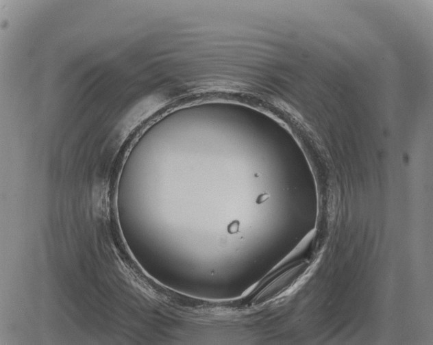 X0000084601113200703021618