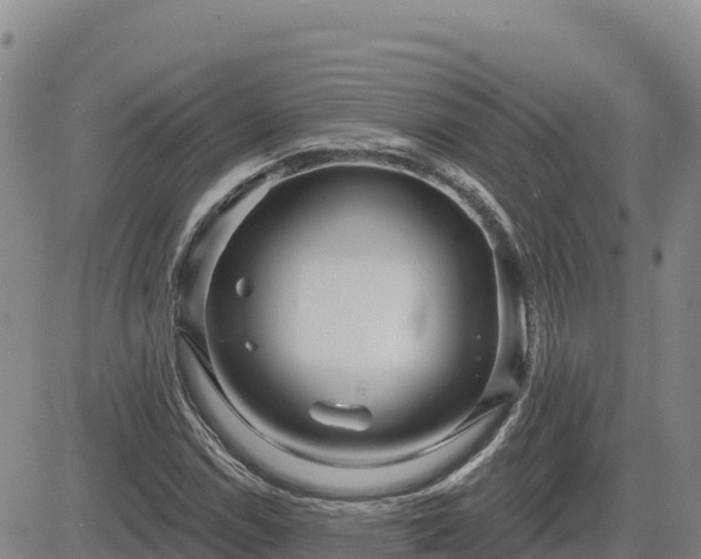 X0000084601114200703021618