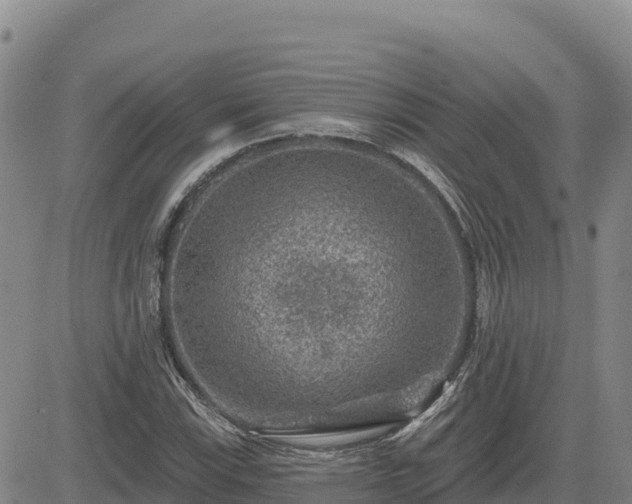 X0000084601115200703021618