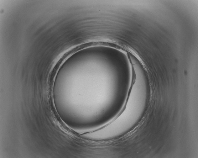 X0000084601116200703021618