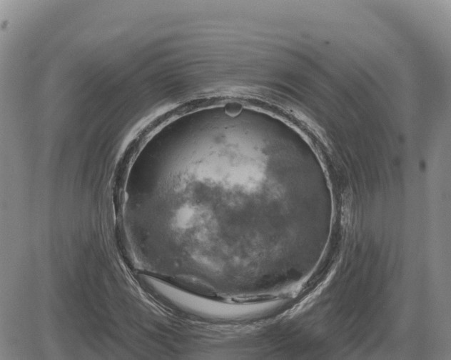 X0000084601117200703021618