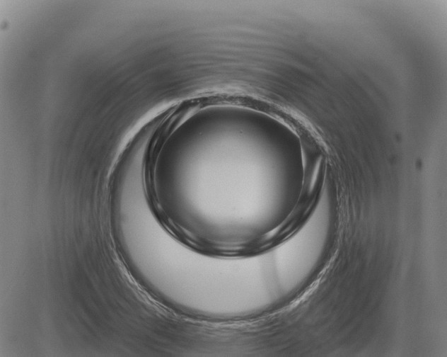 X0000084601118200703021618