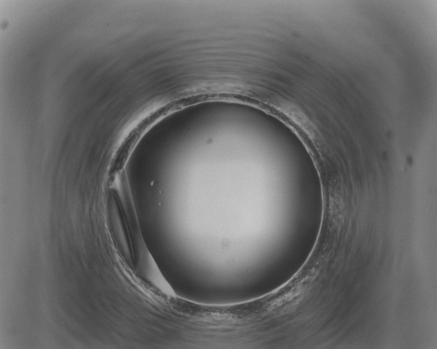 X0000084601119200703021618