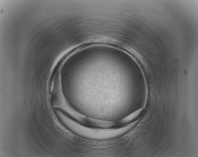 X0000084601120200703021618