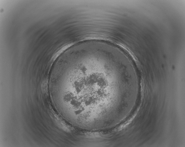 X0000084601121200703021618