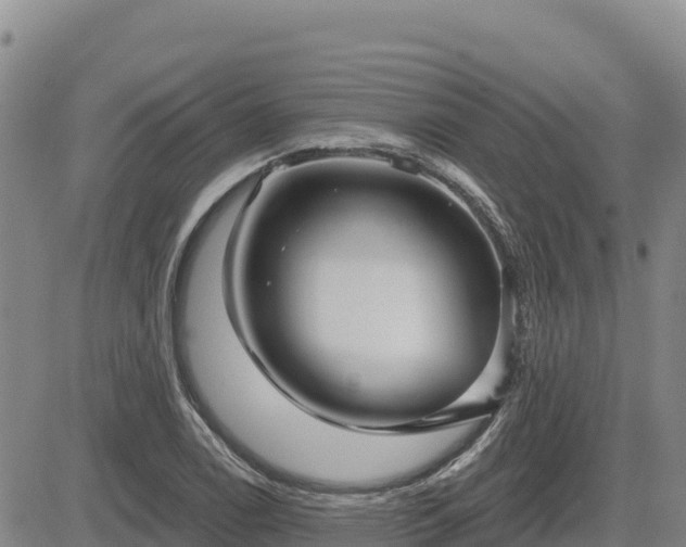 X0000084601122200703021618