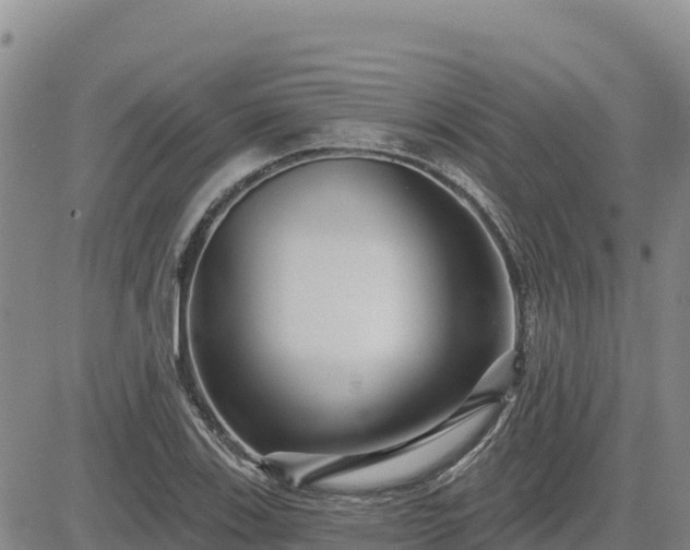 X0000084601123200703021618