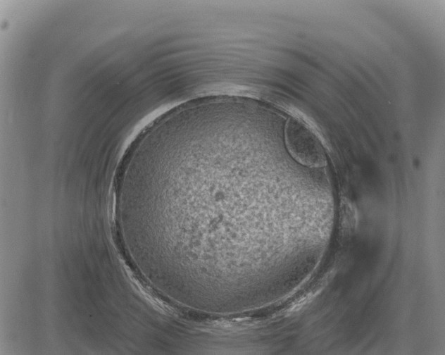 X0000084601125200703021618