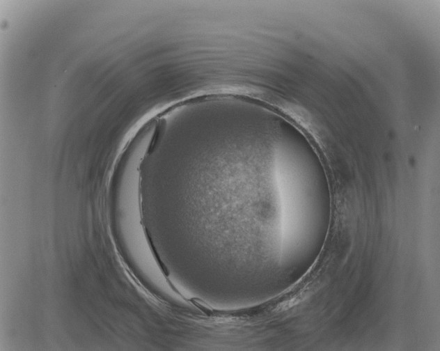 X0000084601127200703021618