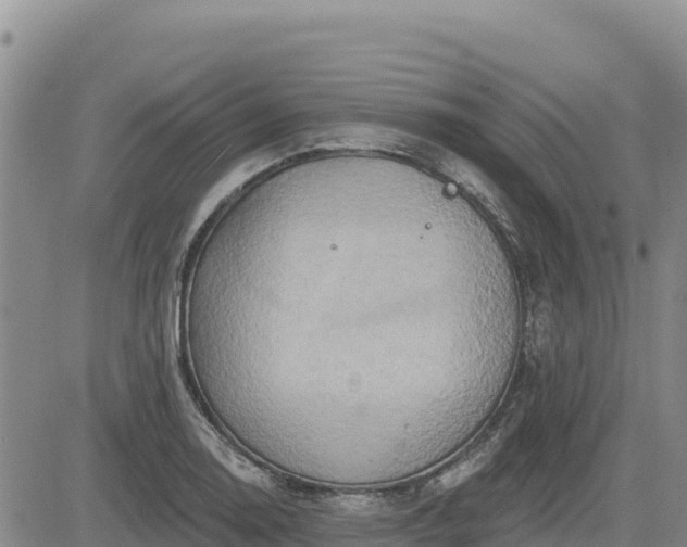 X0000084601130200703021618