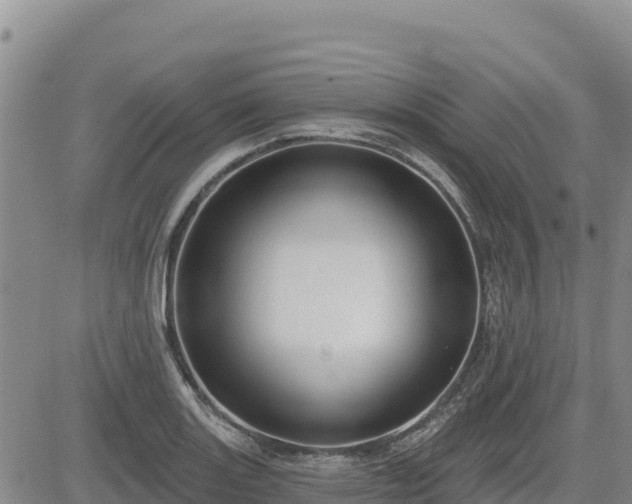 X0000084601131200703021618