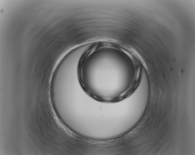 X0000084601132200703021618