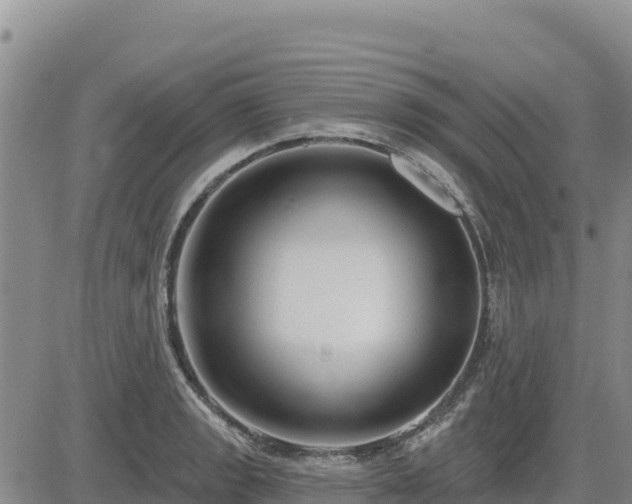 X0000084601133200703021618