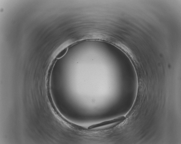 X0000084601135200703021618