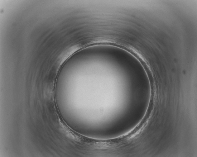 X0000084601137200703021618