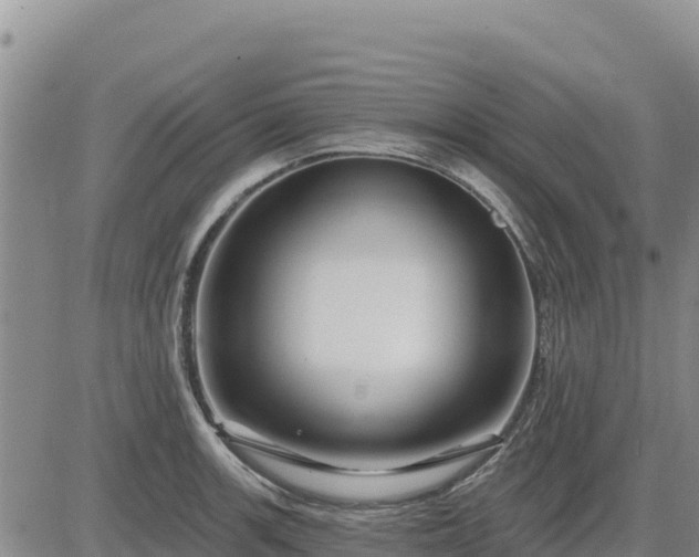 X0000084601139200703021618