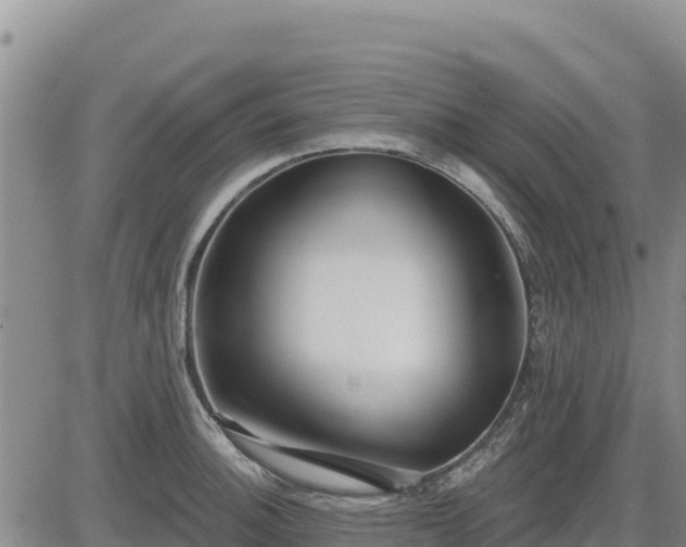 X0000084601140200703021618