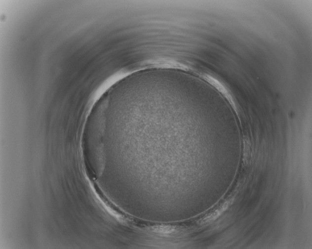 X0000084601141200703021618