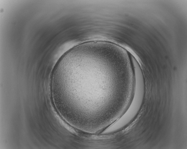 X0000084601142200703021618