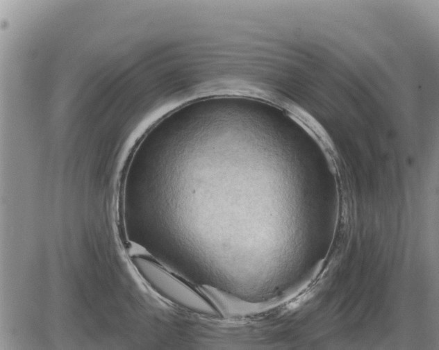 X0000084601144200703021618