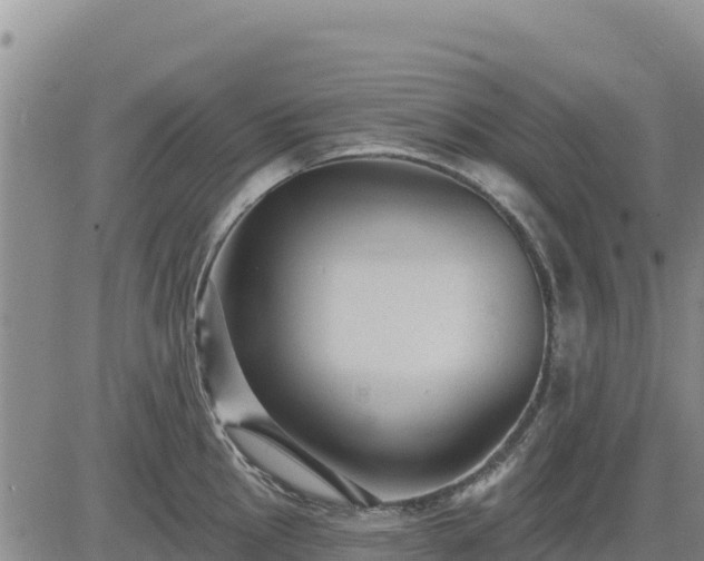 X0000084601145200703021618