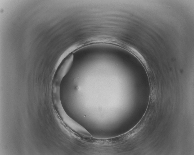 X0000084601146200703021618