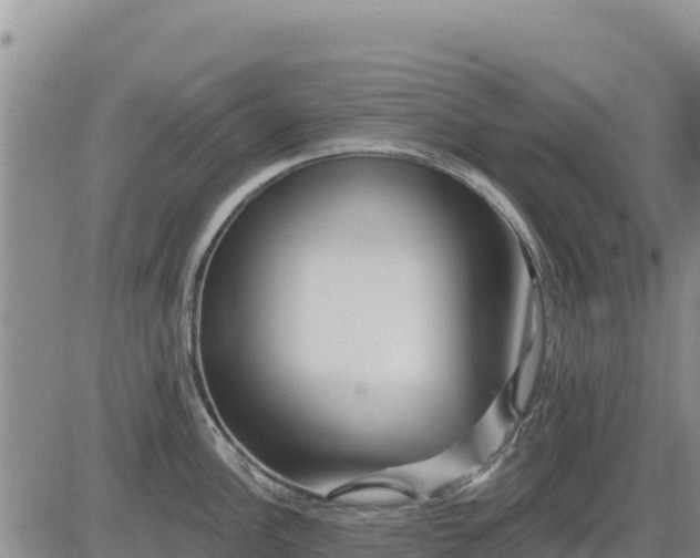 X0000084601148200703021618