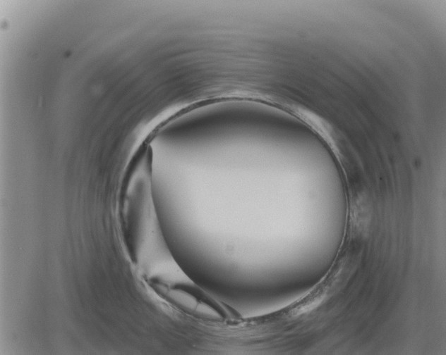 X0000084601149200703021618