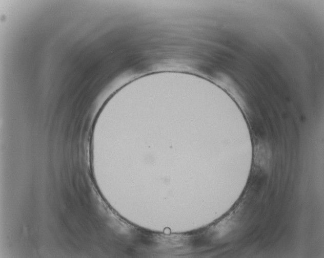 X0000084601150200703021618