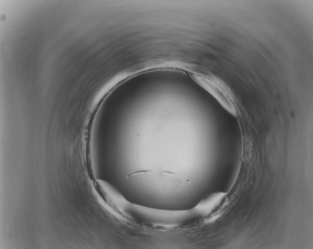 X0000084601151200703021618