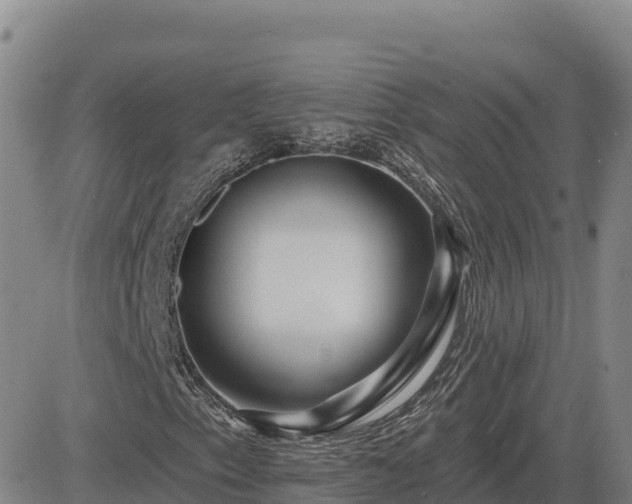 X0000084601153200703021618