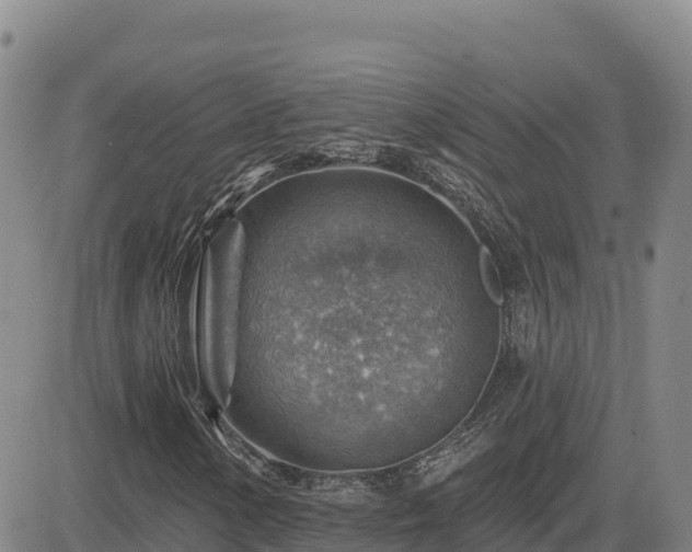 X0000084601154200703021618