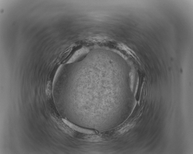 X0000084601156200703021618