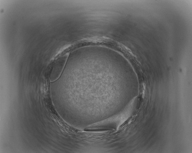 X0000084601158200703021618