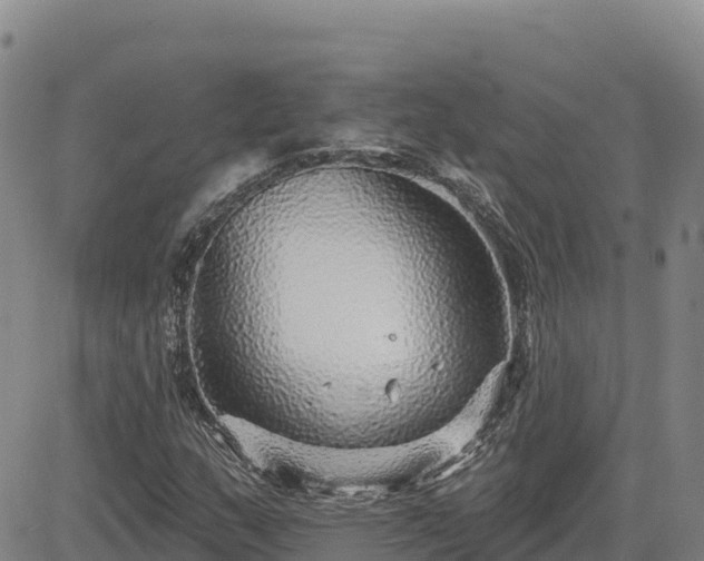 X0000084601159200703021618