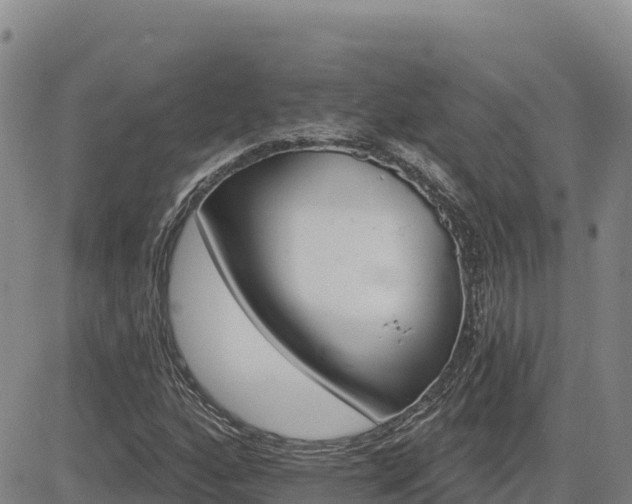 X0000084601160200703021617