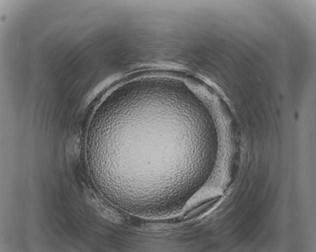 X0000084601163200703021617